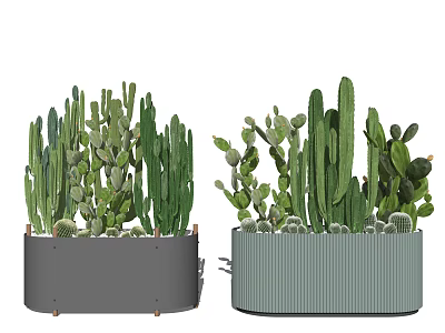 Decorative Cactus Potted Plants in Gray Pot with Wooden Base and Green Ribbed Planter 3d model