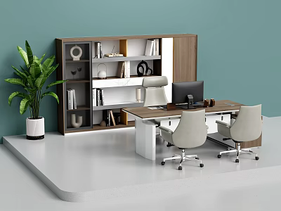 Modern Office Desk with Two Chairs Computer Bookshelf Books Decorations and Green Plant 3d model