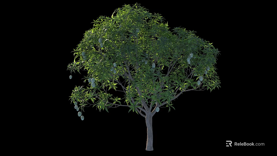 Lush Green Foliage and Hanging Fruits on Tall Deciduous Tree Isolated on Black Background 3d model 