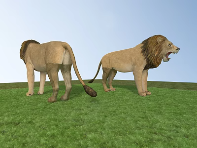 Two Reptile Lizards Standing On Green Grass One Facing Backward One Opening Mouth 3d model