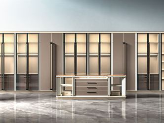 Modern Wardrobe Cloakroom 3d model