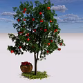Tall Arbor Tree With Red Fruits Green Leaves And Basket Under Blue Sky