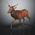 Detailed Brown Deer With Large Antlers Walking On Dark Background Sculpture