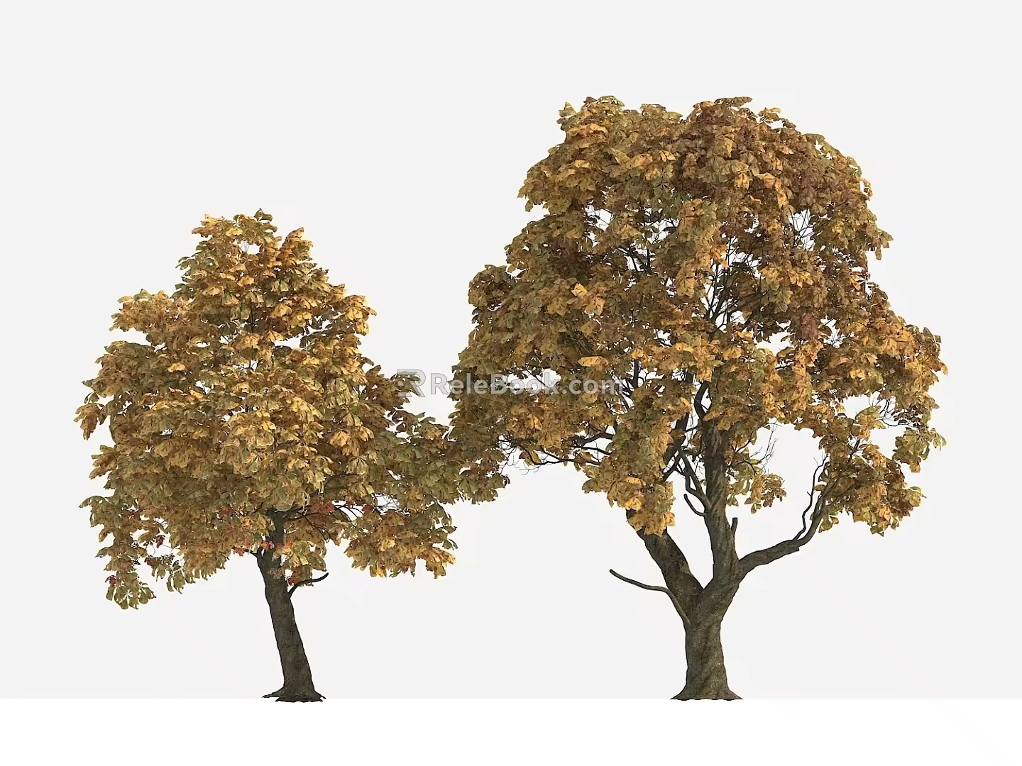 Big Tree Autumn Tree Yellow Leaf Tree 3d model