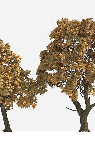 Big Tree Autumn Tree Yellow Leaf Tree 3d model