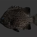 Spotted Fish with Intricate Dark Pattern and Sharp Dorsal Fin on Smooth Gray Surface 3d model