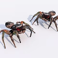 Two Colorful Reptiles With Detailed Legs And Red Eyes On White Surface