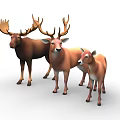 Three Deer Group With Different Sizes And Brown Fur Standing Together