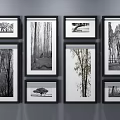 Modern Photo Wall with Various Size Frames and Black White Color 3d model
