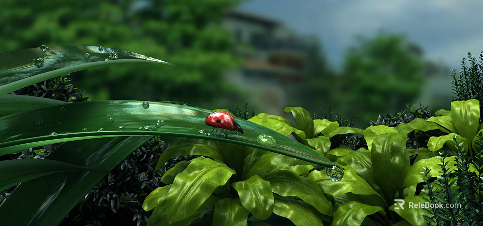 Red Ladybug on Green Leaf With Water Droplets and Blurred Green Plants Background 3d model 