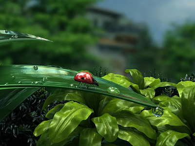 Red Ladybug on Green Leaf With Water Droplets and Blurred Green Plants Background 3d model