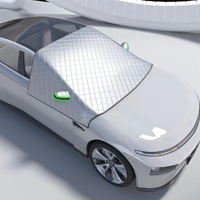 White Car Sunshade with Grid Pattern and Green Side Mirrors Accessory 3d model