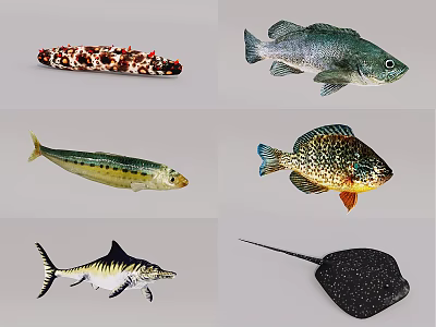 Different Aquatic Animals Including Spotted Eel Perch Mackerel Sunfish Shark And Ray 3d model