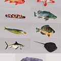 Modern Fish Fish 3d model