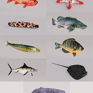 Modern Fish 3d model