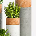 Bonsai Potted Plants In Gray Brown Containers With Lush Green Foliage For Indoor Decor