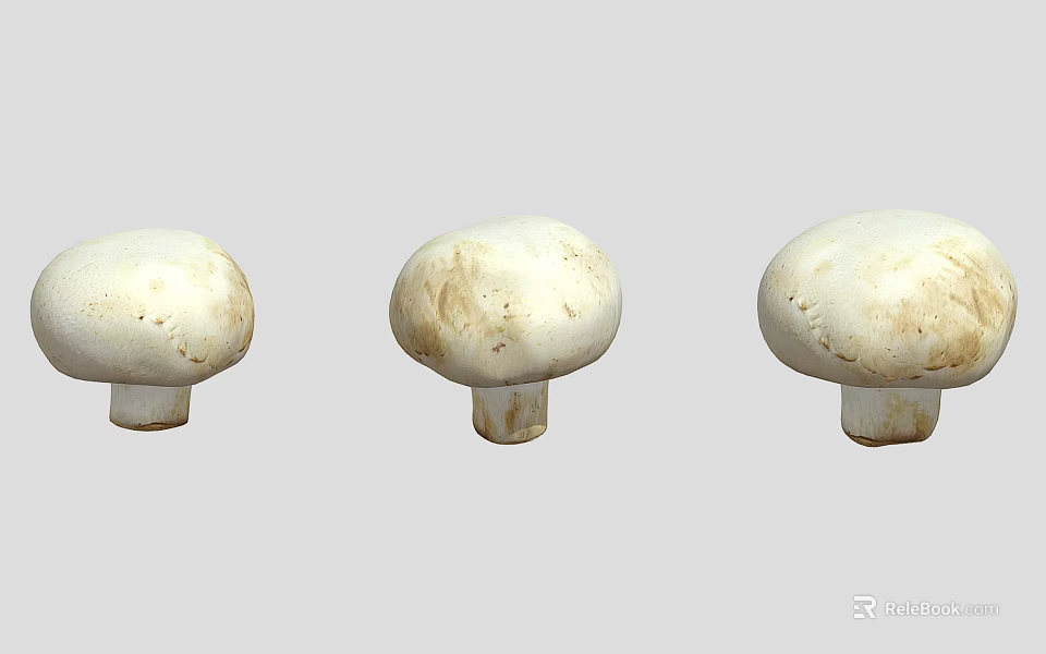 Three White Mushroom Plants with Smooth Caps and Short Stems on Light Background 3d model 