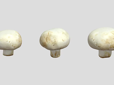 Three White Mushroom Plants with Smooth Caps and Short Stems on Light Background 3d model