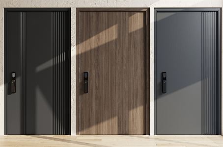 Modern security door entry door security door mother door single door double door smart door lock password door fingerprint door 3d model