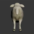 White Sheep Toy Model Standing on Black Background with Reflection 3d model