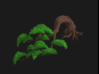 Artistic Bonsai Pine Tree With Curved Trunk Exposed Roots And Lush Green Foliage 3d model