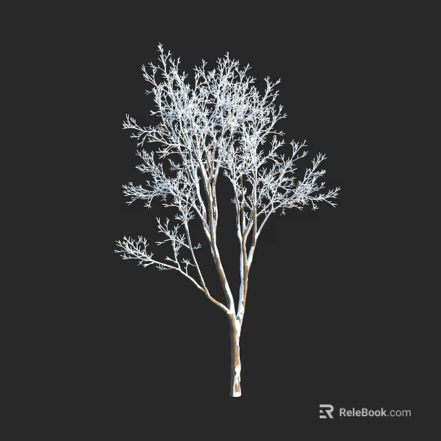 Single Deciduous Tree with Bare White Branches Against Black Background 3d model