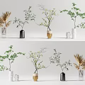 Modern Ceramic Glass Metal Vases With Green Ferns Tree Branches And Leafy Plants