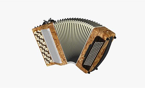 Modern Accordion Instrument Hand 3d model