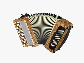 Modern Accordion Instrument Hand 3d model