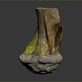 Natural Wooden Tree Stump Decorative Piece With Stone Base And Green Moss Texture