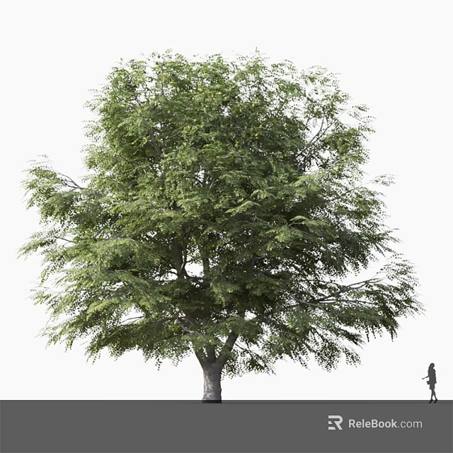 Tall Arbor With Lush Green Foliage And Strong Trunk In Outdoor Space 3d model 