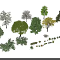 Diverse Arbor Varieties For Outdoor Landscape Featuring Various Shapes And Foliage 3d model