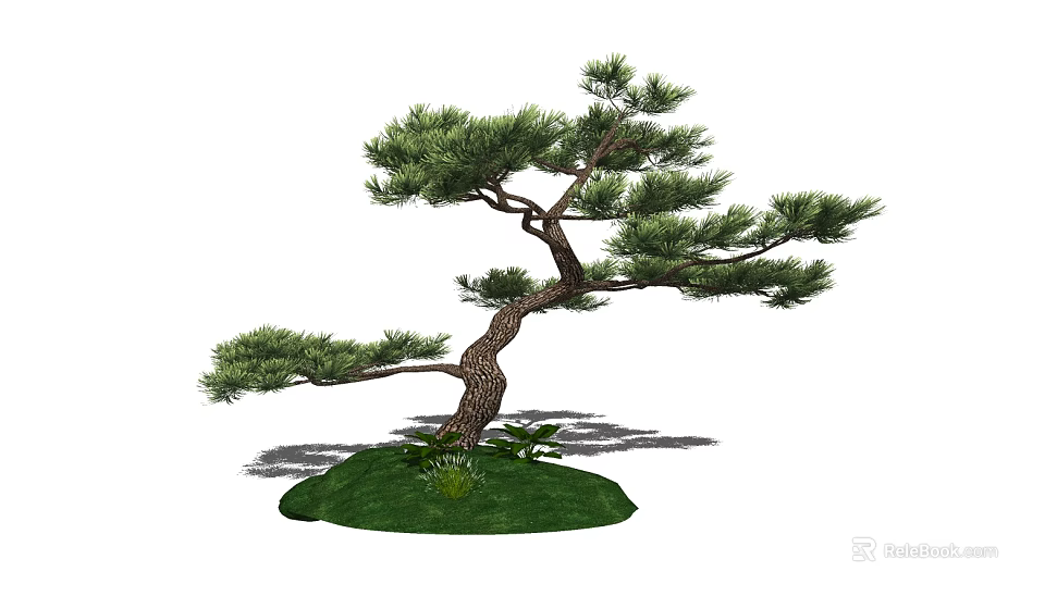 Artistic Pine Tree With Curved Trunk And Green Foliage On Grass Base 3d model 