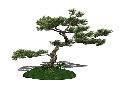Artistic Pine Tree With Curved Trunk And Green Foliage On Grass Base 3d model