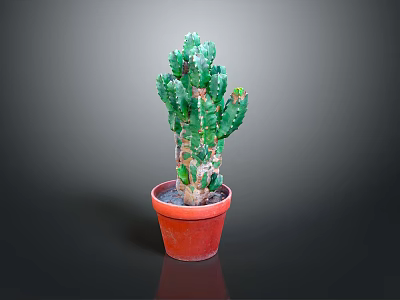 Potted Green Thorny Cactus Plant in Red Ceramic Pot for Indoor Decor 3d model