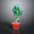 Potted Green Thorny Cactus Plant in Red Ceramic Pot for Indoor Decor