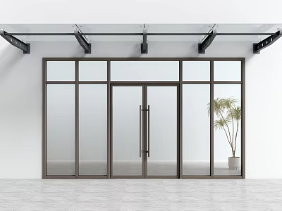 Modern Glass Double Doors With Dark Frame And Indoor Plant Design 3d model