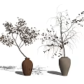 Bonsai 3d model
