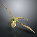 Game Movie Character Green Dragon With Yellow Horns In Flying Pose