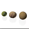 Three Exotic Fruits With Green Purple Striped And Tan Skin Displaying Unique Patterns