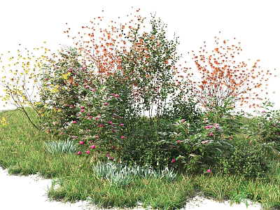 Colorful Flowering Shrubs In Garden Landscape With Green Grass And Stones 3d model