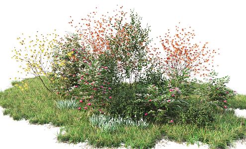 Modern shrubs 3d model