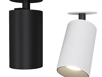 Modern Black and White Downlights Spotlights with Sleek Design for Indoor Home Lighting 3d model