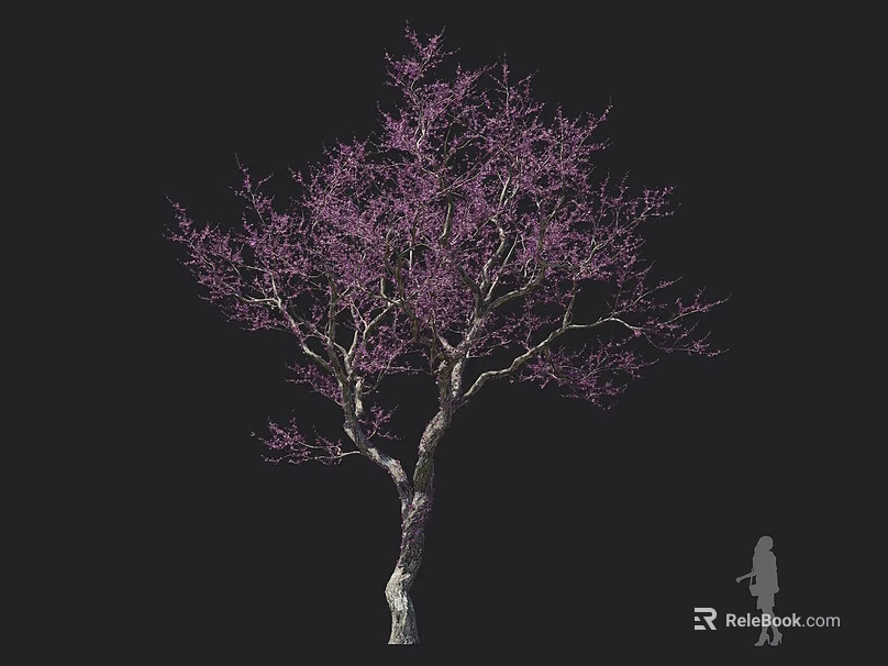 Tree with Purple Blossoms and Slender Branches Against Dark Backdrop with Human Silhouette for Scale 3d model 