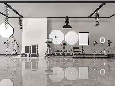 Professional Digital Store Providing Photography Studio Gear With Octagonal Softboxes Light Stands Cameras And Equipment Cases 3d model
