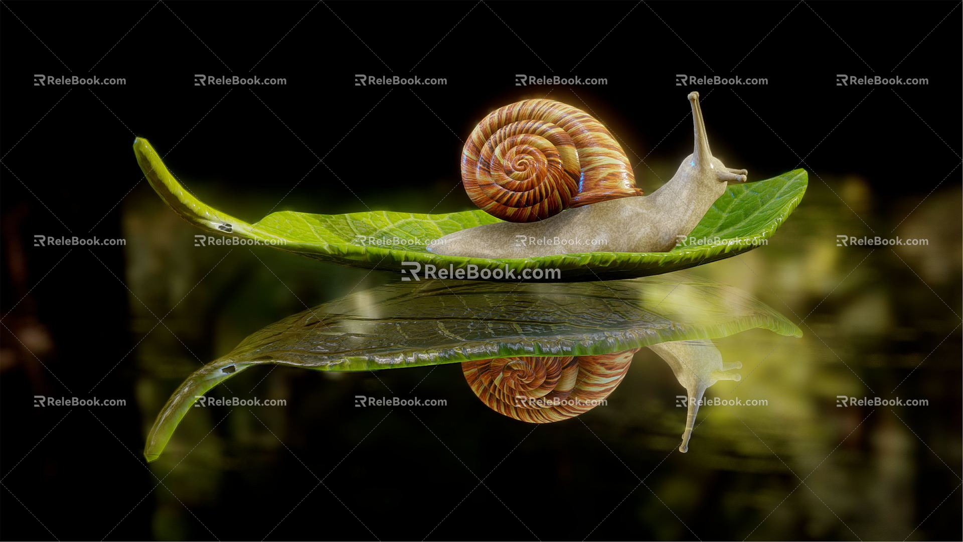 Modern snails snails in water 3d model