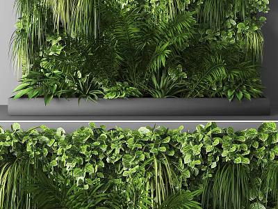 Diverse Lush Green Plant Wall With Various Natural Foliage And Vibrant Greenery Design 3d model