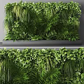 Diverse Lush Green Plant Wall With Various Natural Foliage And Vibrant Greenery Design