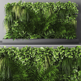 Modern Plant Wall 3d model