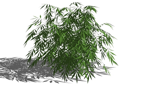 Bamboo 3d model